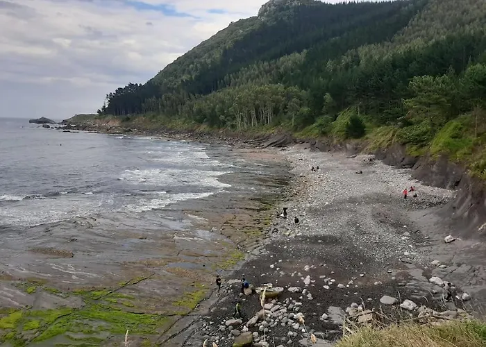 Pequeno Rural Con Un Gran Jardin. Wifi * Ispaster